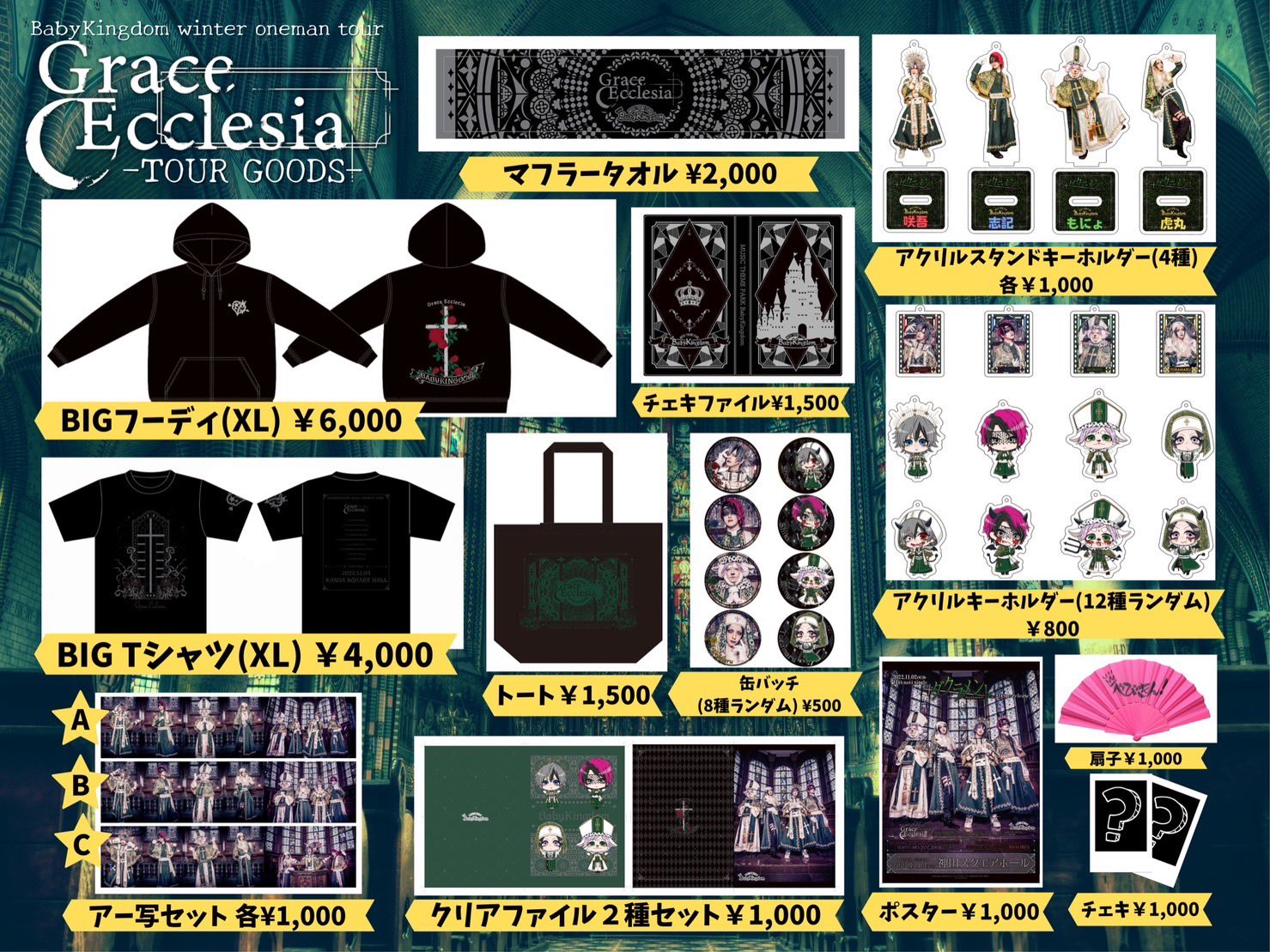 【専用】BabyKingdom DVD セット BabyKingdom べびきん グッズ